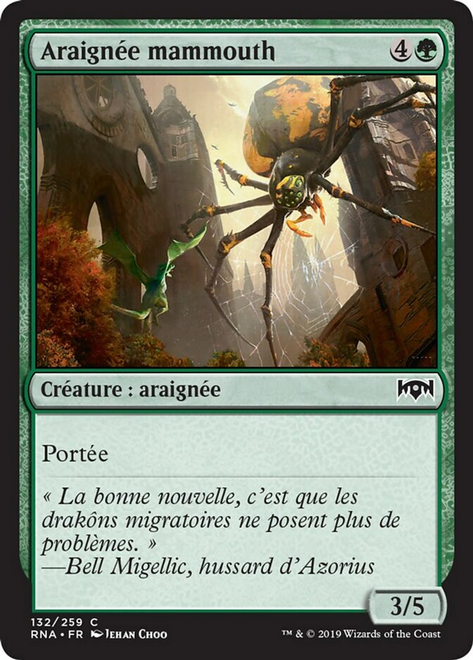 image Araignée mammouth