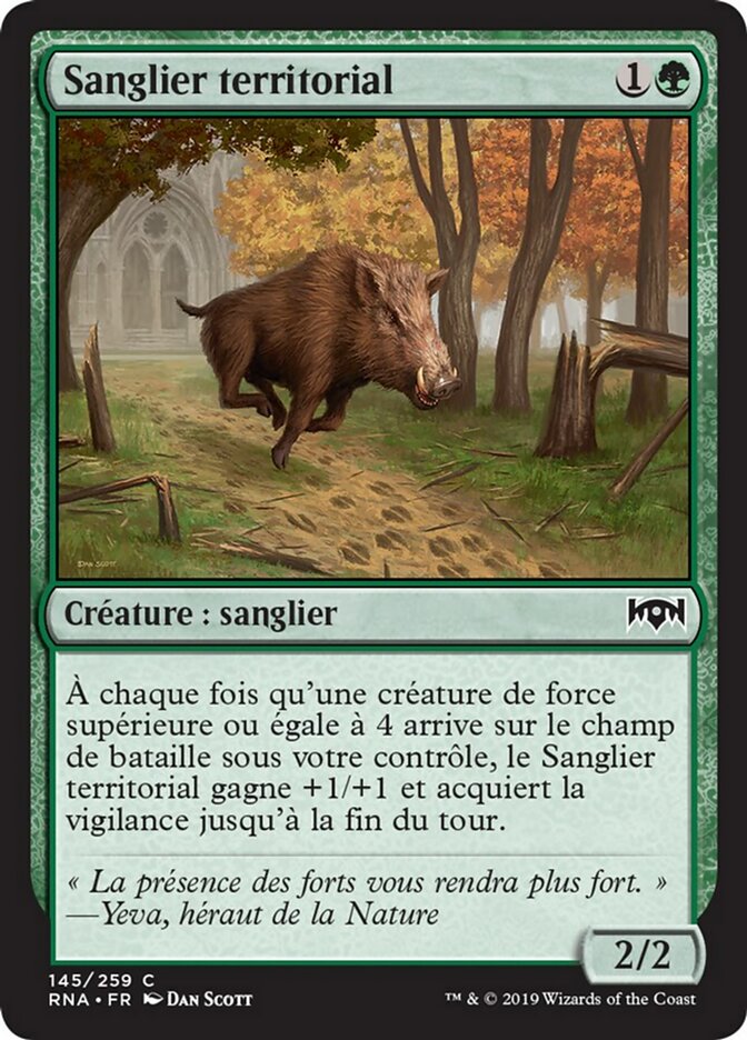 image Sanglier territorial