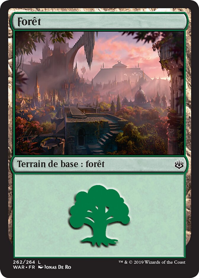 image Forêt