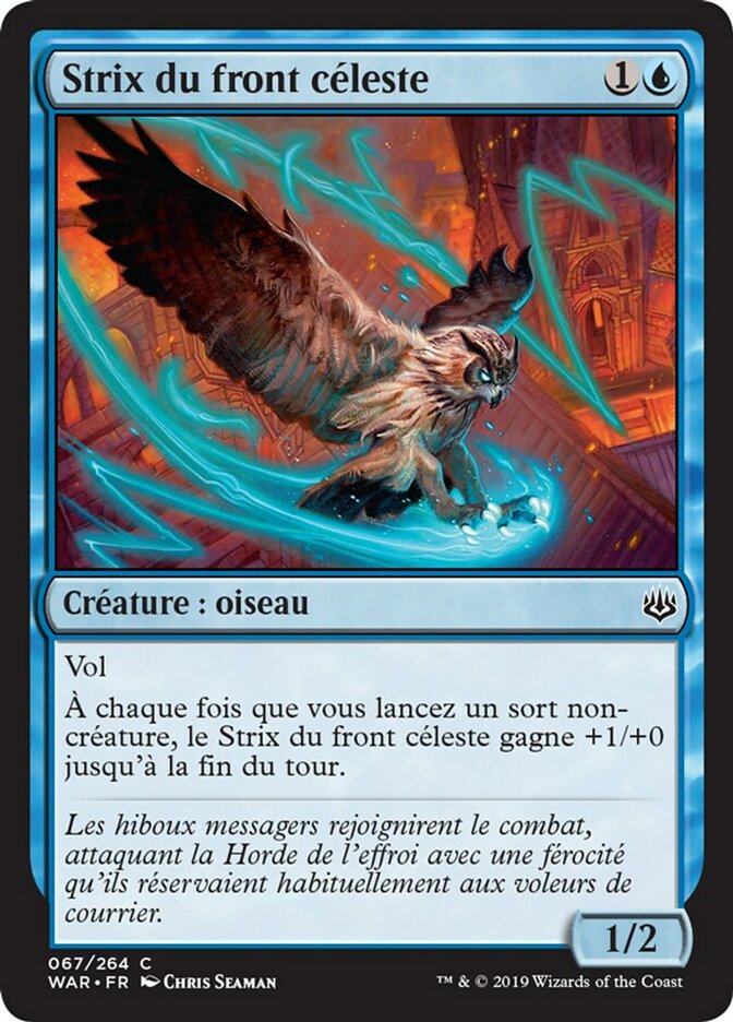 image Strix du front céleste