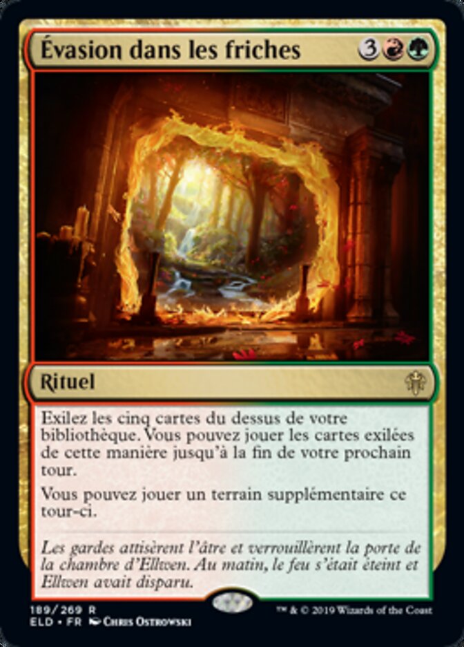 image Évasion dans les friches