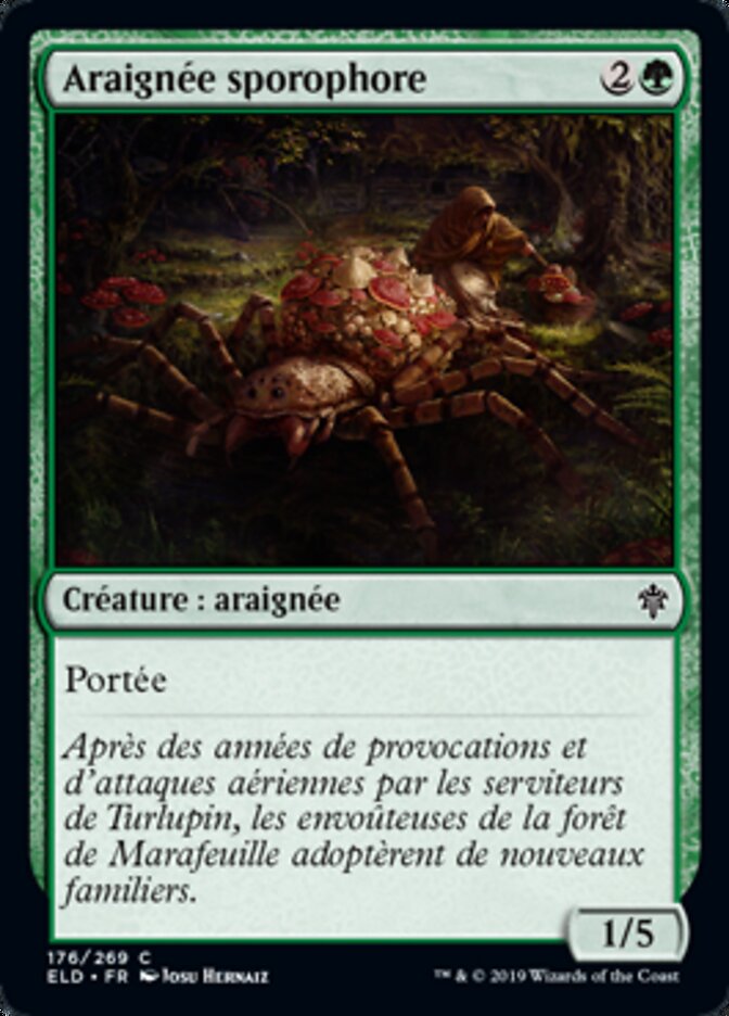 image Araignée sporophore