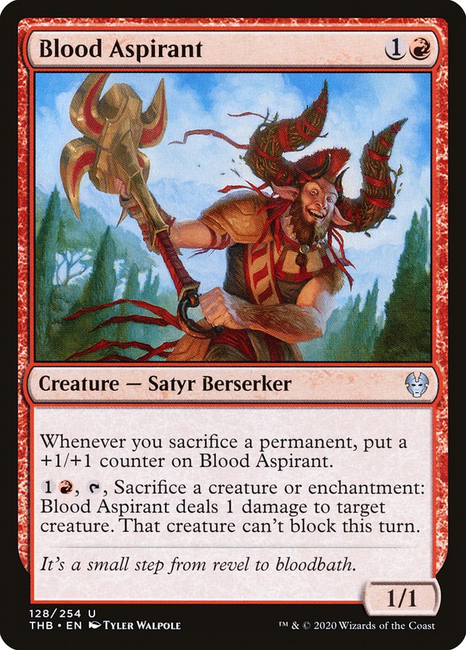 image Blood Aspirant