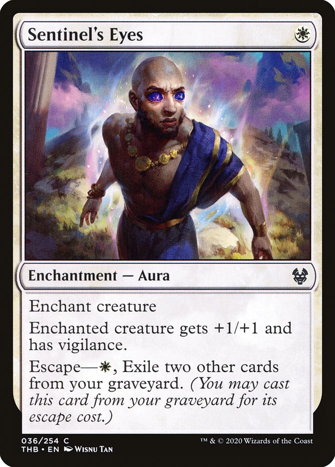 image Sentinel's Eyes