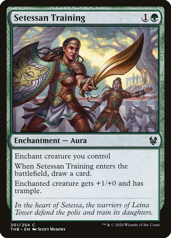 image Setessan Training