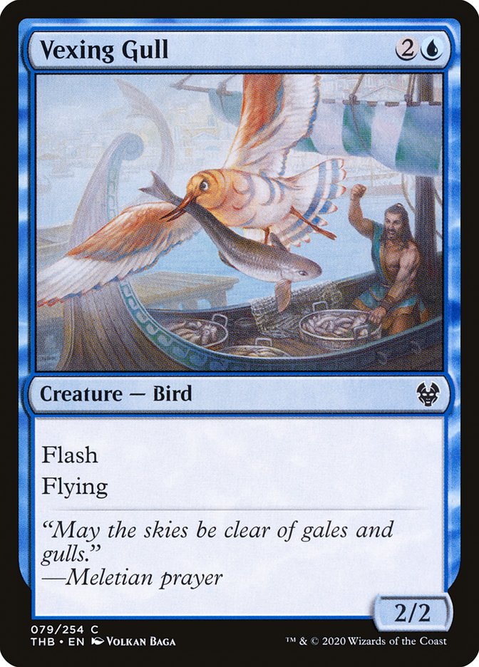 image Vexing Gull
