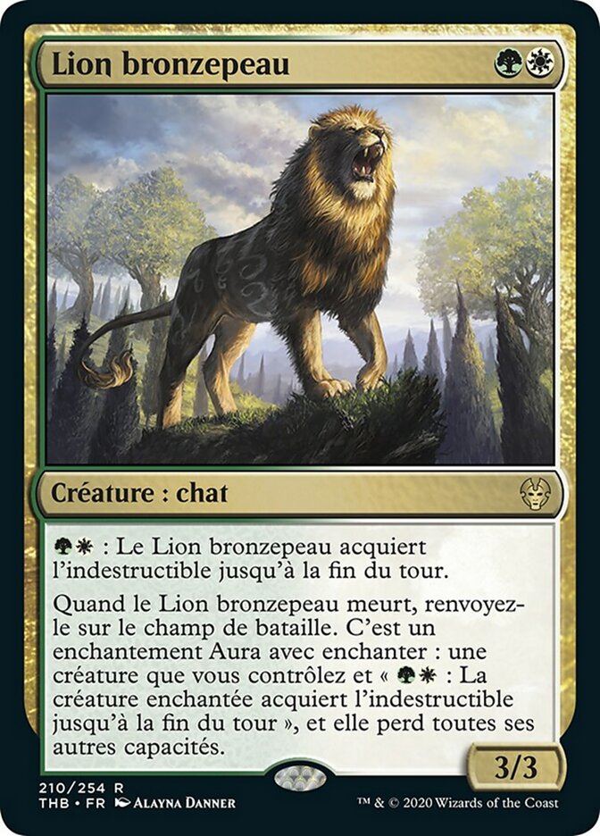 image Lion bronzepeau