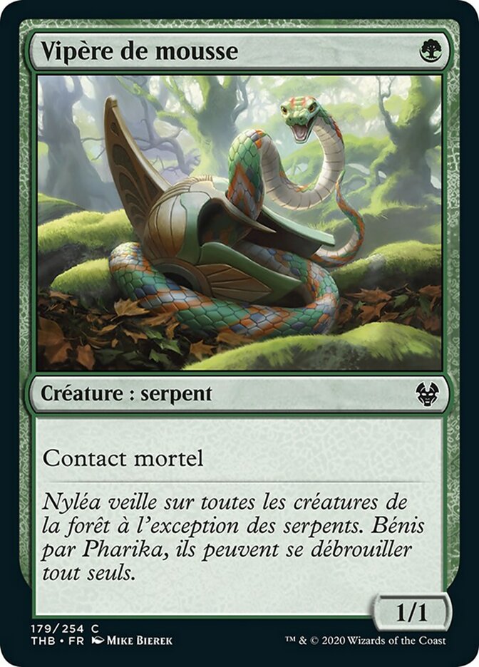 image Vipère de mousse