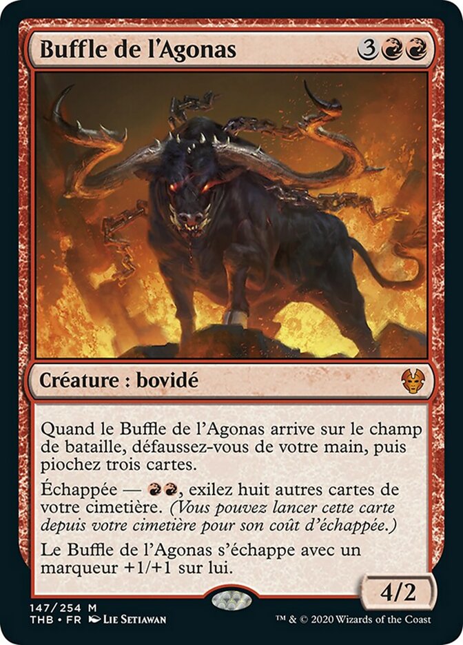 image Buffle de l'Agonas