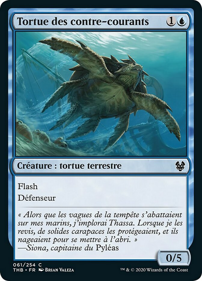 image Tortue des contre-courants