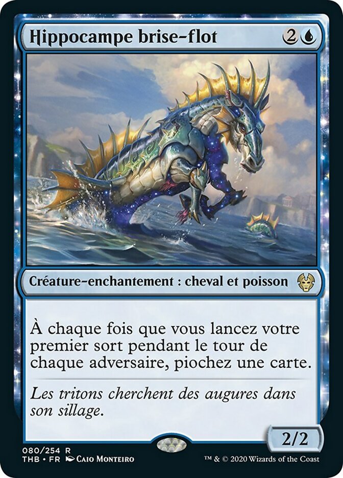 image Hippocampe brise-flot