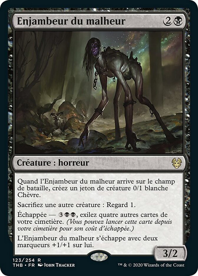 image Enjambeur du malheur