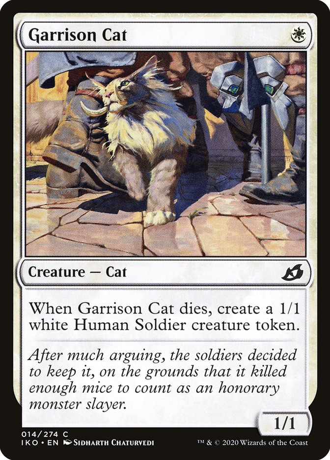 image Garrison Cat