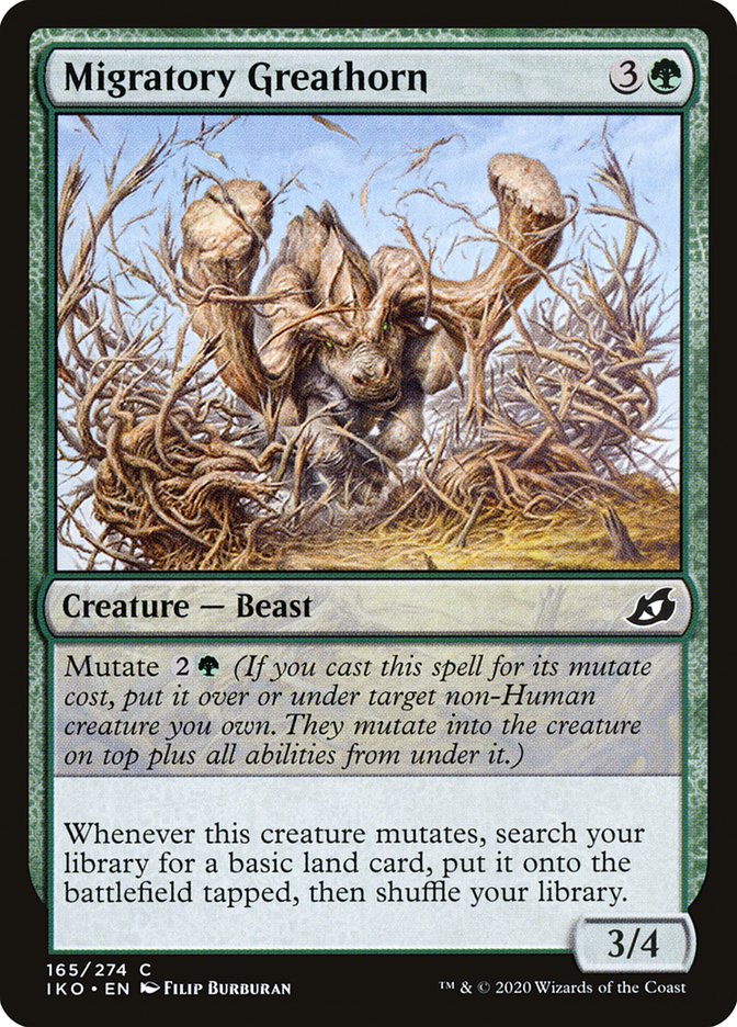 image Migratory Greathorn