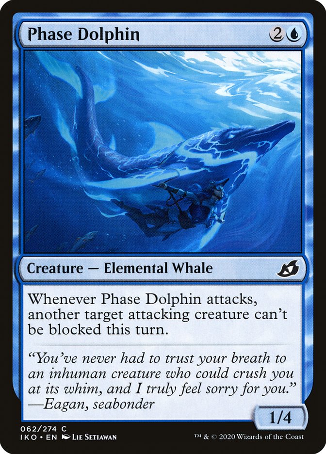 image Phase Dolphin