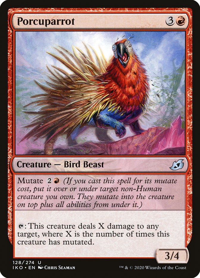 image Porcuparrot
