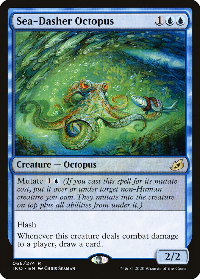 image Sea-Dasher Octopus