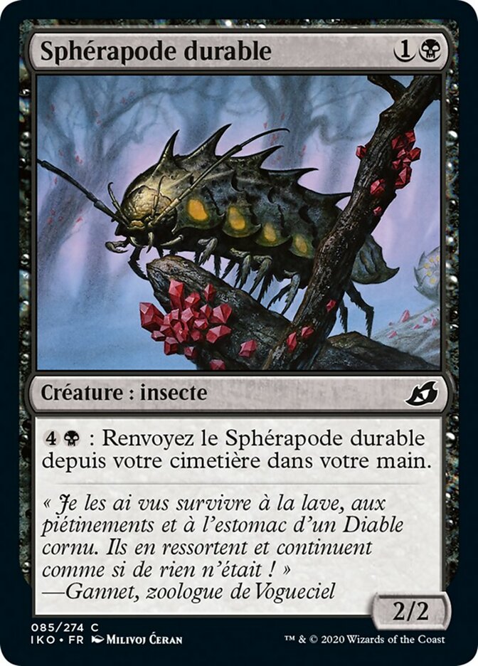 image Sphérapode durable