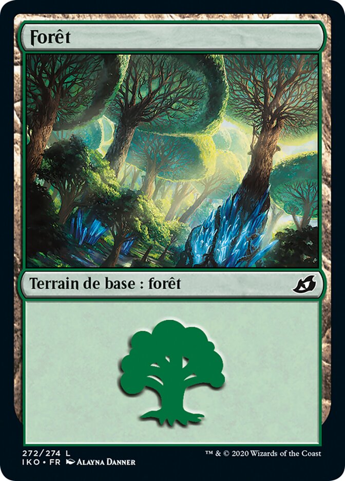 image Forêt