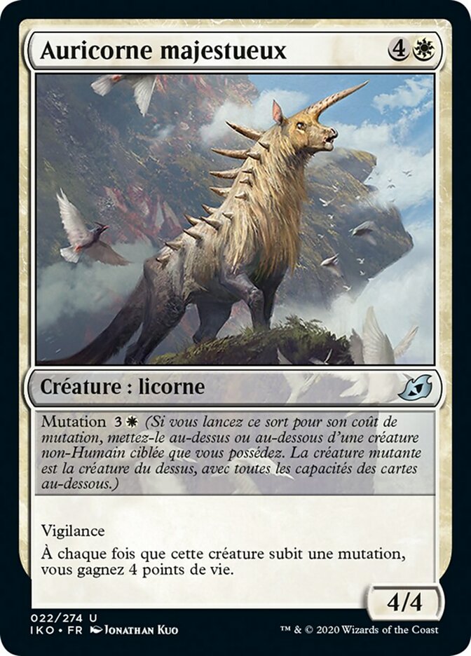 image Auricorne majestueux