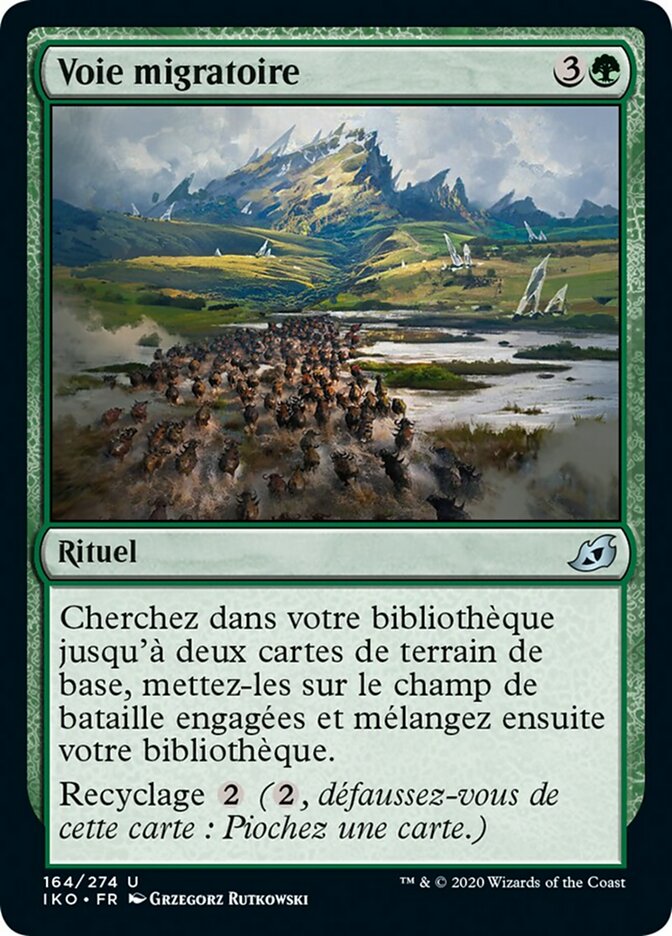 image Voie migratoire