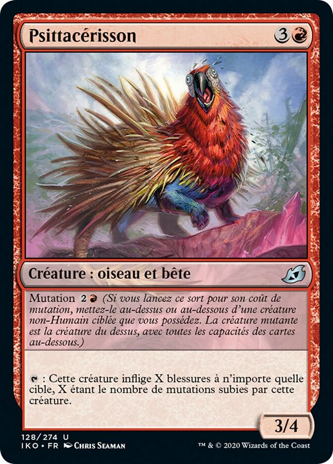 image Psittacérisson