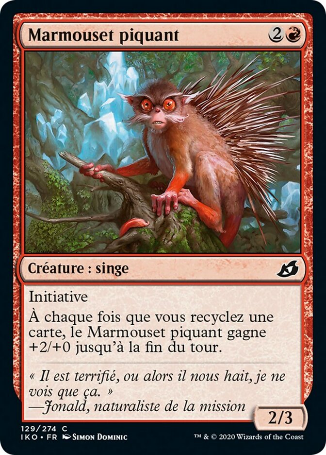 image Marmouset piquant