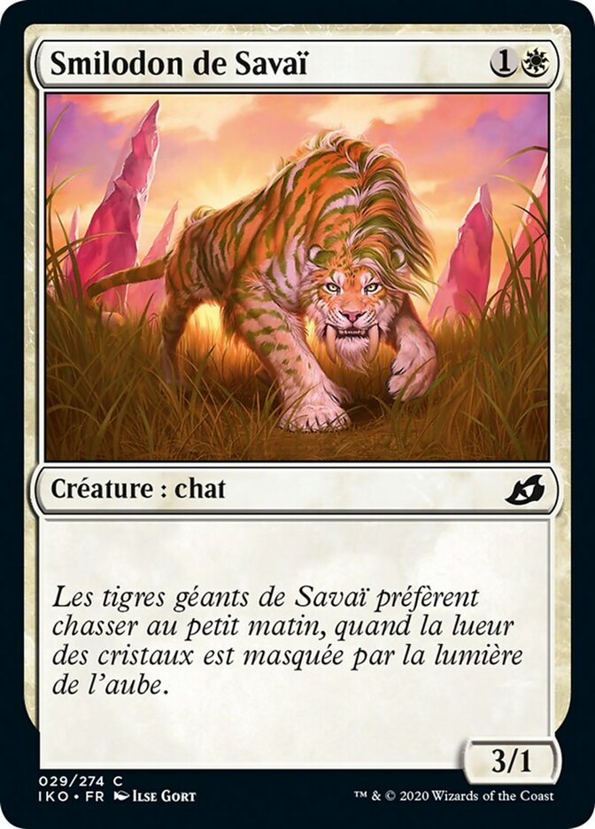 image Smilodon de Savaï