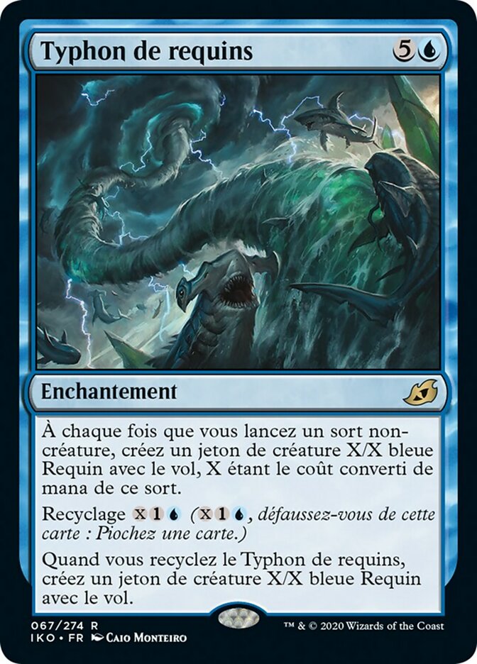 image Typhon de requins