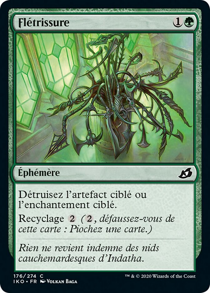 image Flétrissure