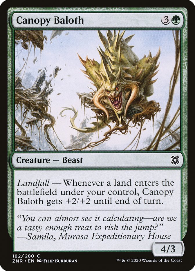 image Canopy Baloth