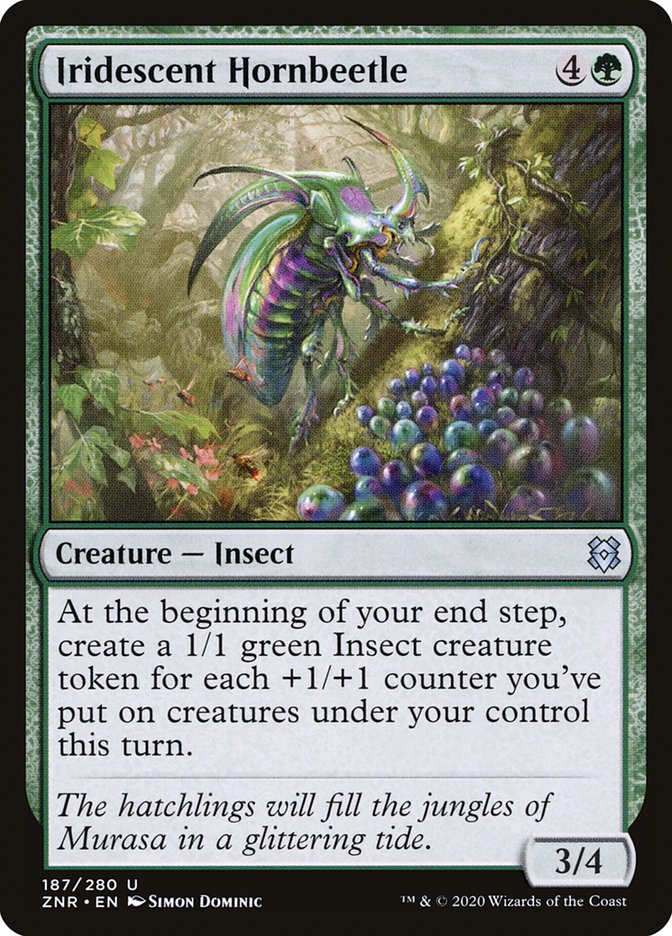 image Iridescent Hornbeetle