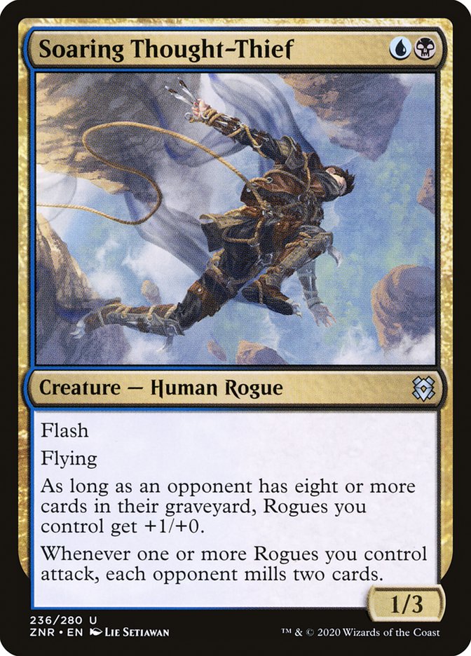 image Soaring Thought-Thief