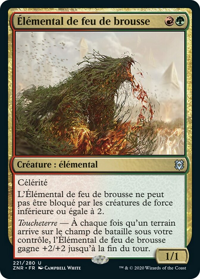 image Élémental de feu de brousse