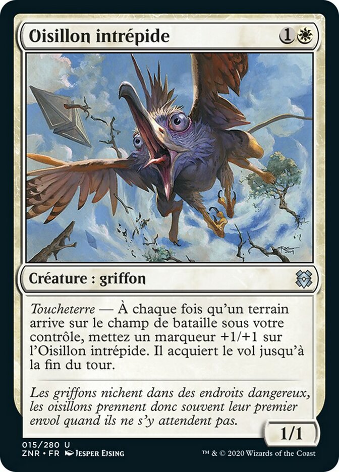 image Oisillon intrépide