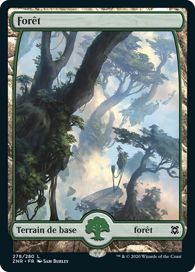 image Forêt