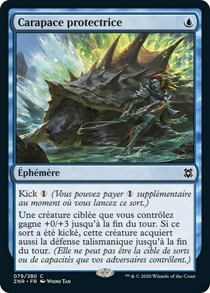 image Carapace protectrice