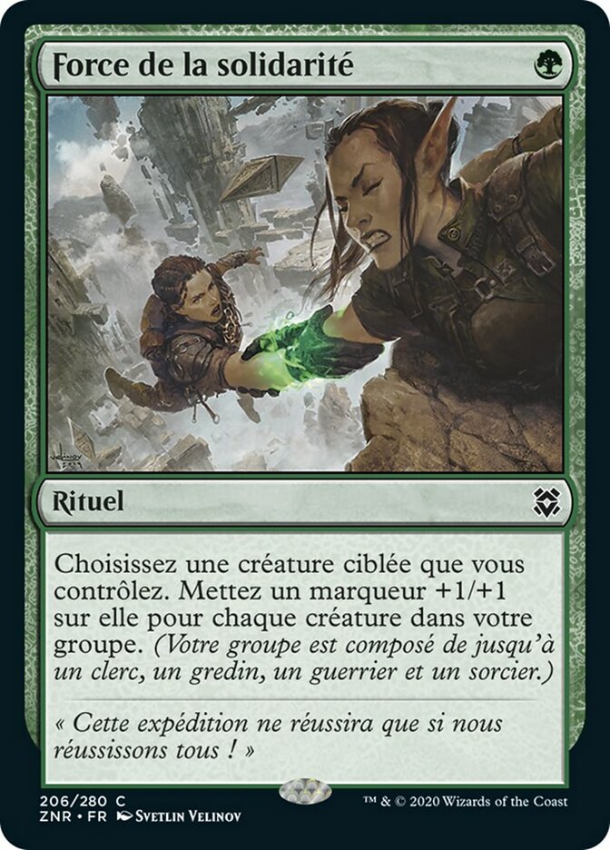 image Force de la solidarité