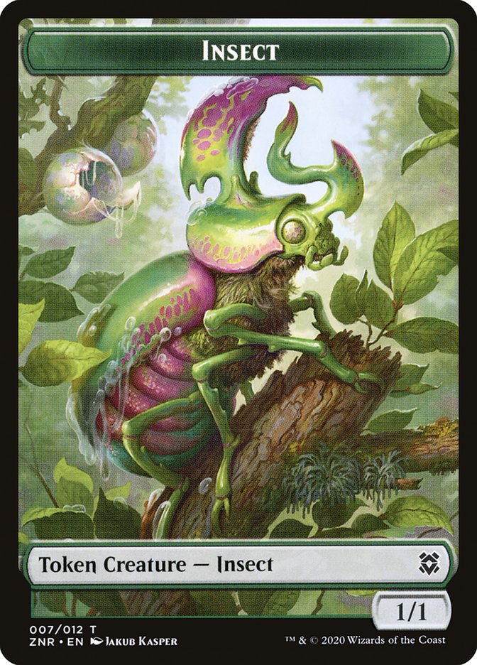 image Insect