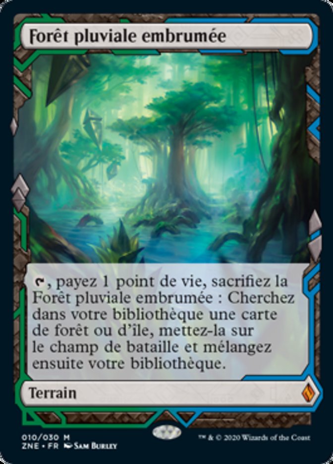 image Forêt pluviale embrumée