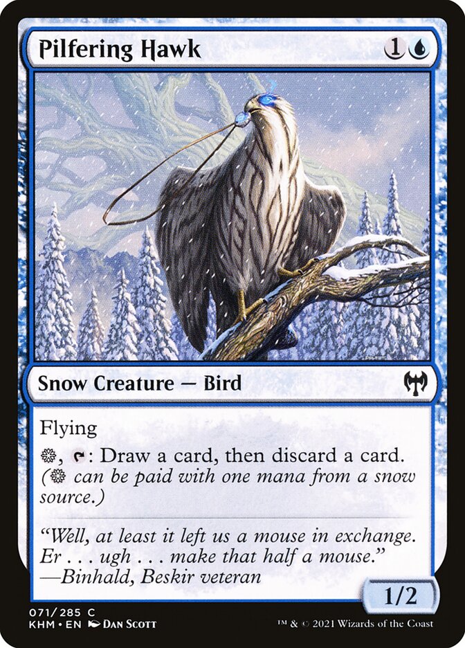 image Pilfering Hawk