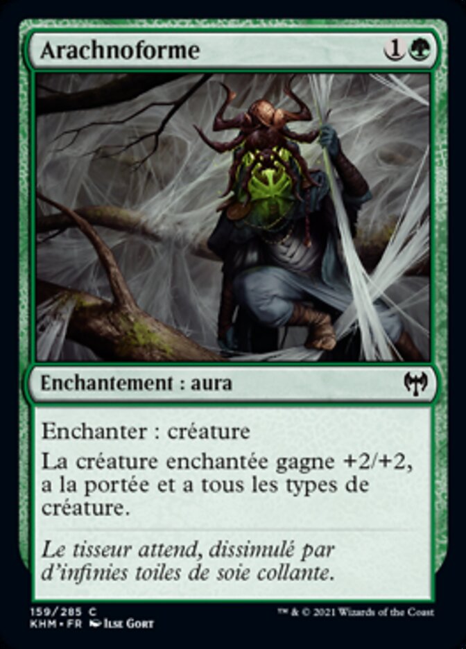 image Arachnoforme