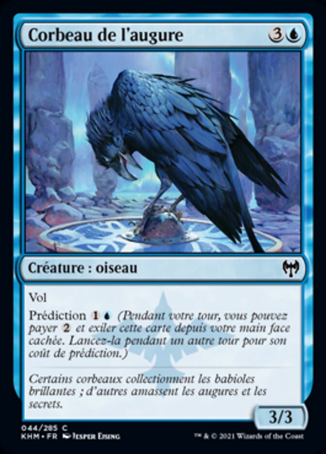 image Corbeau de l'augure