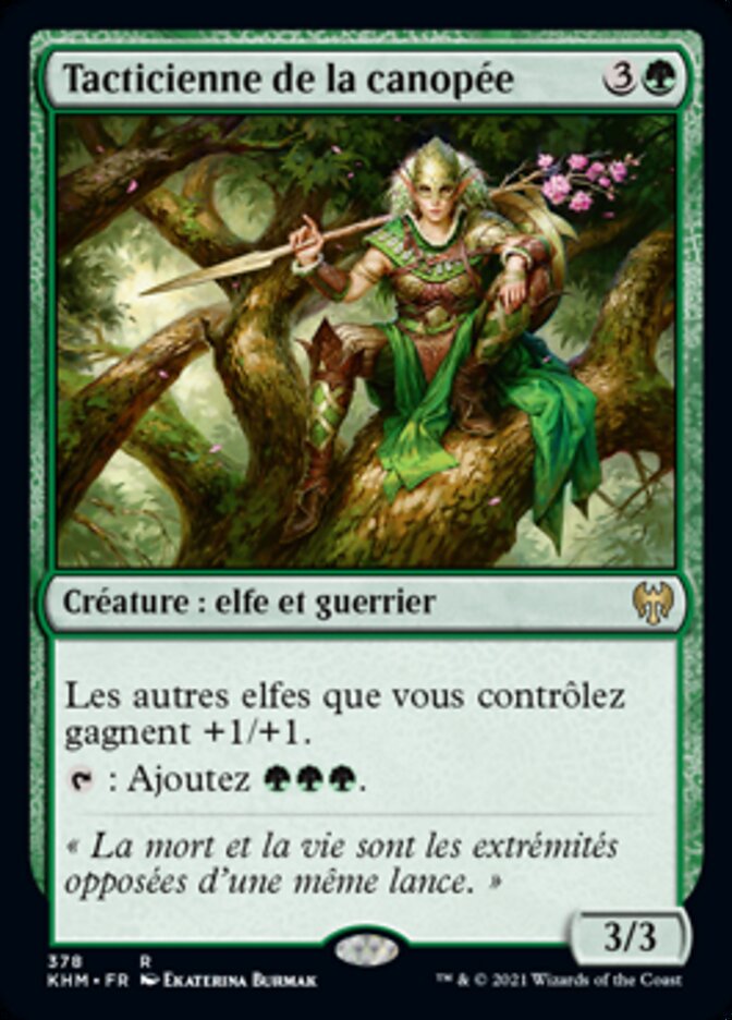 image Tacticienne de la canopée