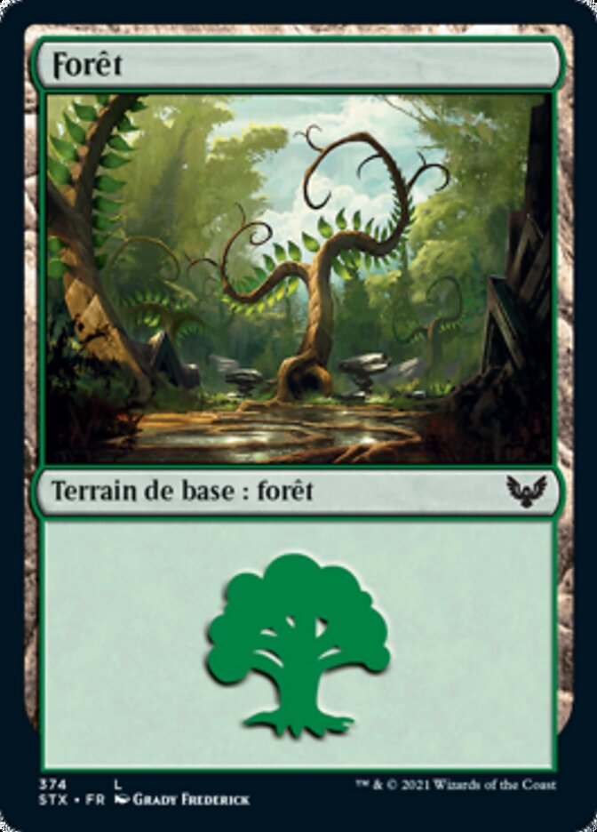 image Forêt