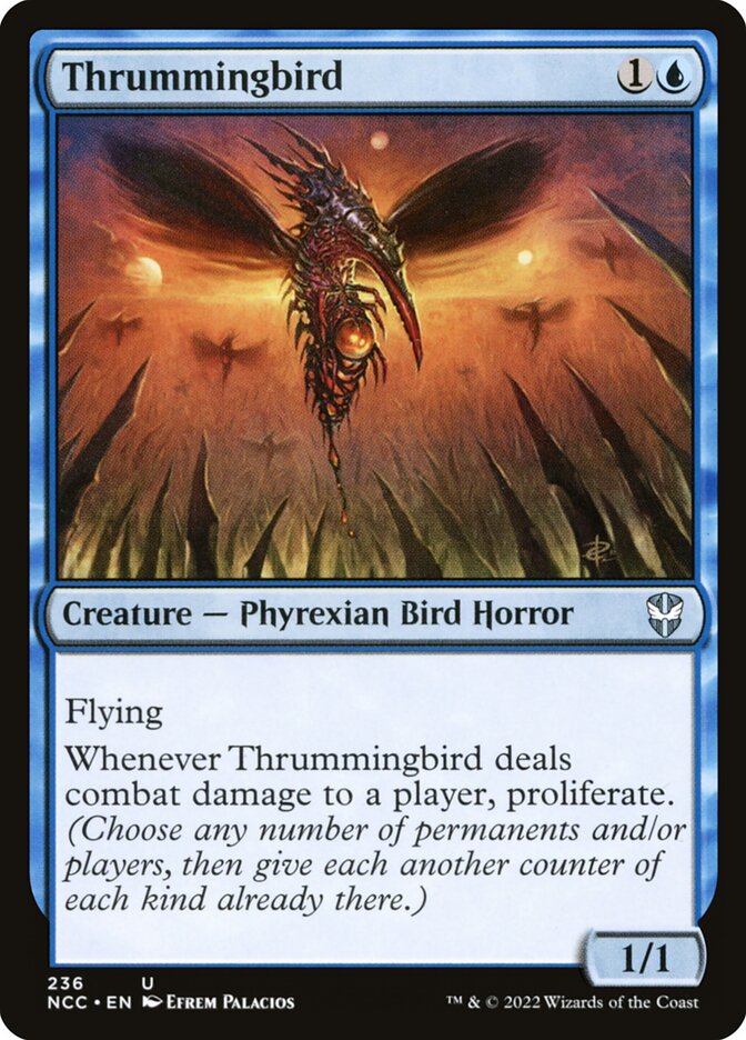 image Thrummingbird