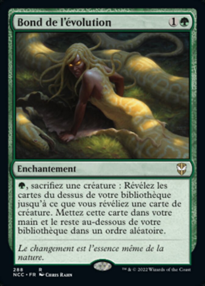 image Bond de l'évolution