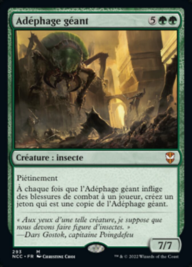 image Adéphage géant
