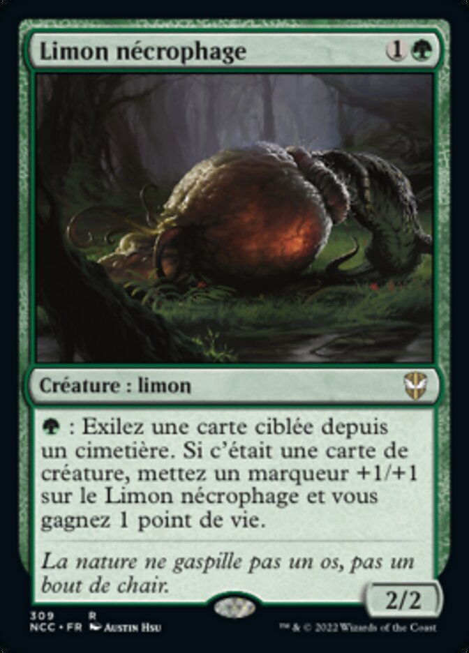 image Limon nécrophage