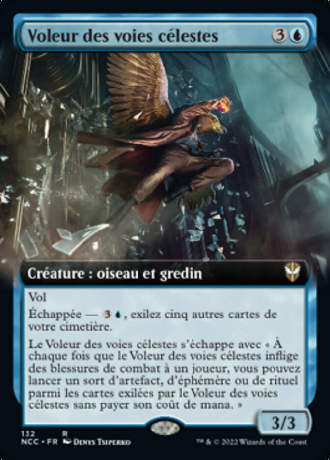 image Voleur des voies célestes